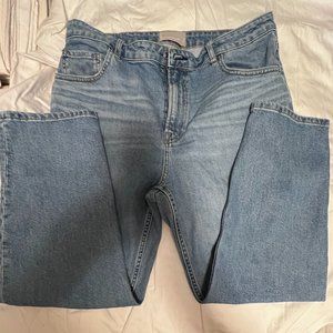 Everlane Curvy Cheeky Jean Size 33 Crop